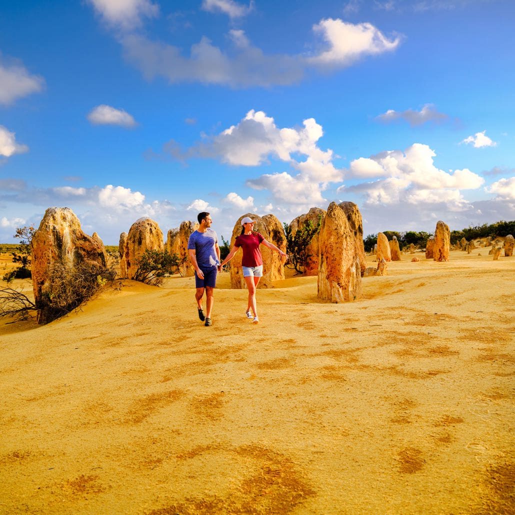 PINNACLES DAY TOURS PERTH