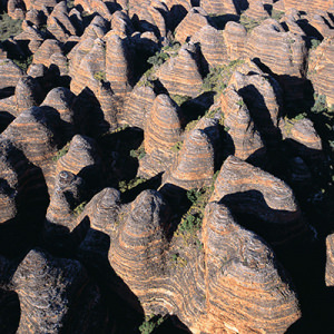 BUNGLE BUNGLES