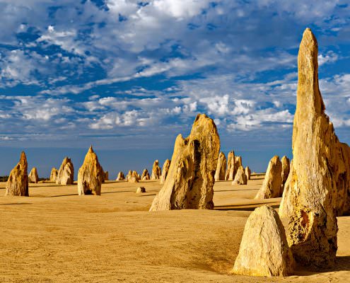 DAY TOUR PINNACLES 3