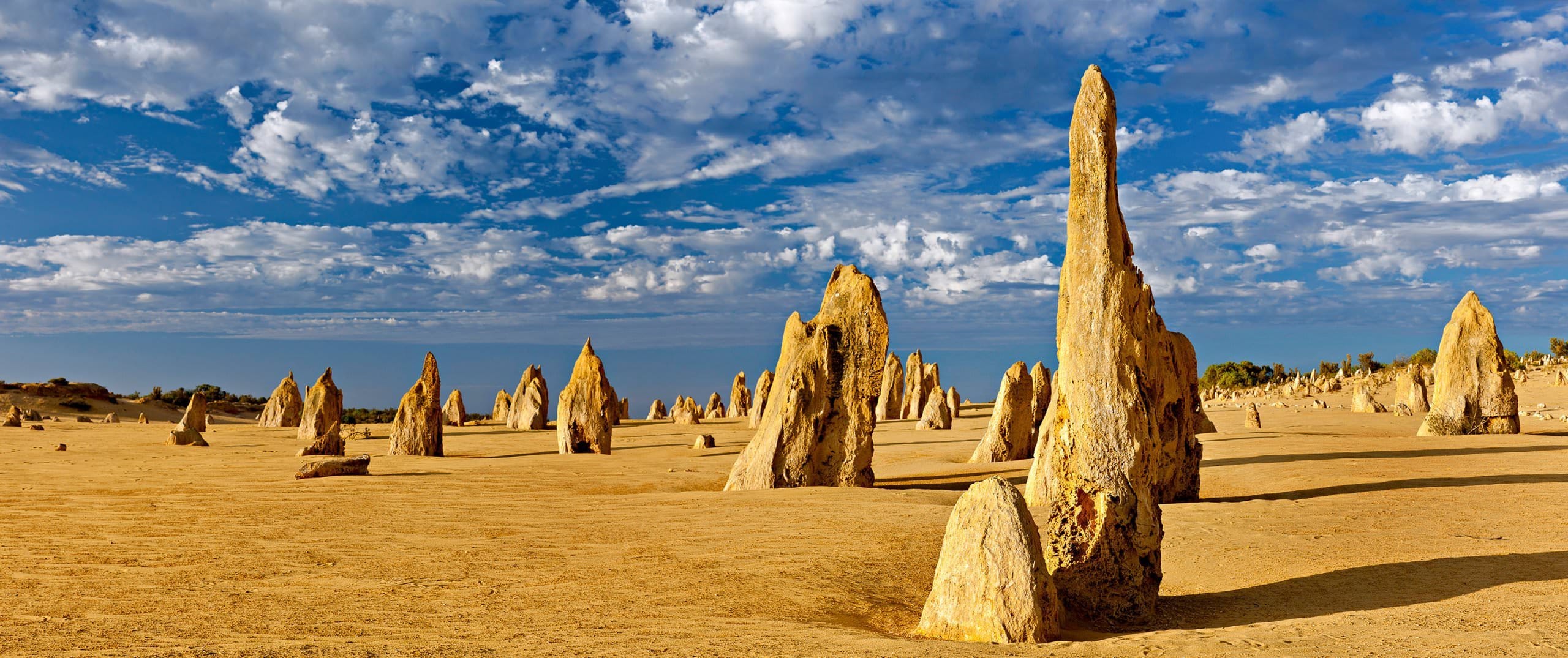 PINNACLES EXPRESS TOUR - STUNNING DESERT VIEWS