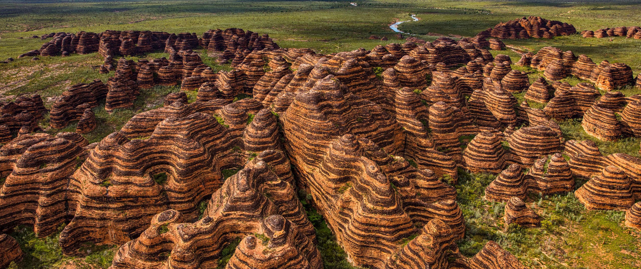 HED 2 BUNGLE BUNGLES SCALED