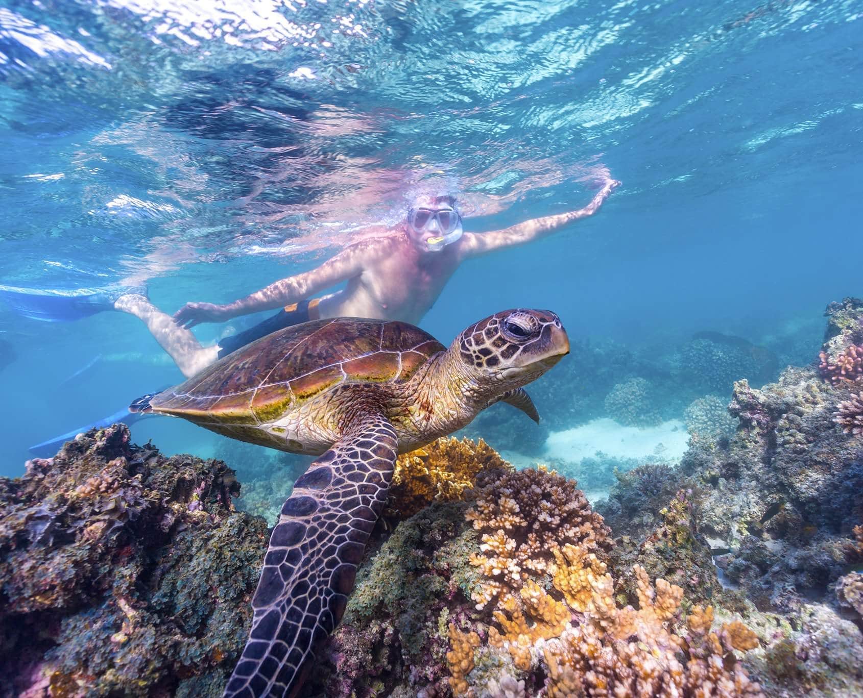 Dive, Snorkel, Explore 6Day Ningaloo Reef Tours from Exmouth