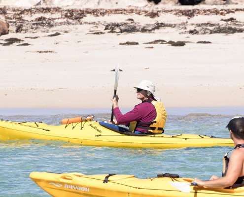 PENGUIN SEAL ISLAND KAYAK TOUR 1 DAY 2