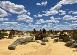 THE PINNACLES DESERT5