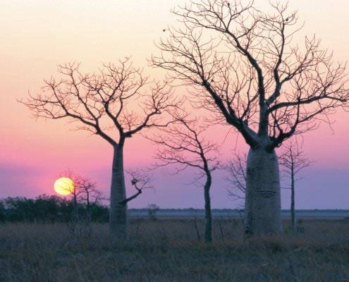 8 DAY BROOME TO DARWIN OVERLAND 4WD TOUR