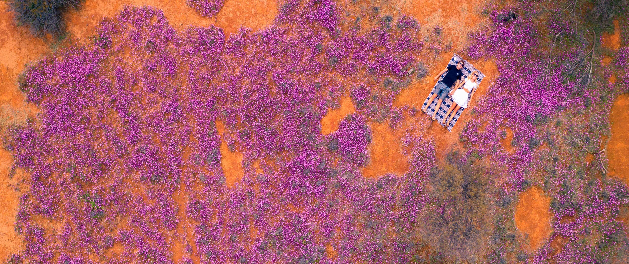 WILDFLOWER TOUR BROOME 10 DAYS 1 SCALED
