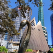 GAL 6 KINDS PARK 2 1030X834 1