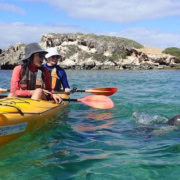 313864 683FECFAAEE8B