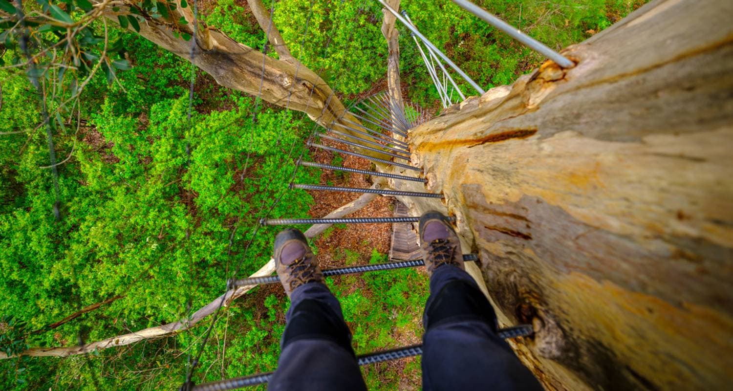 313864 68427BE6ABAD0