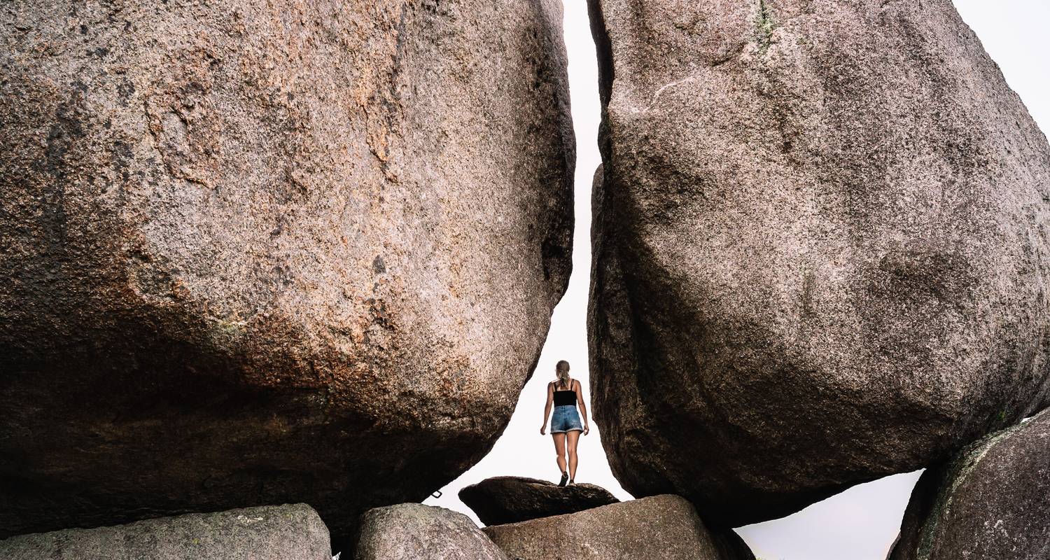 313864 68427DB21D397