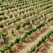 313864 68427DB21D39A