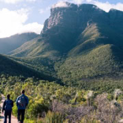 313864 68427DE3161CF